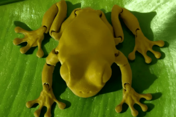 Download Articulated Clean Frog - Frog Collection